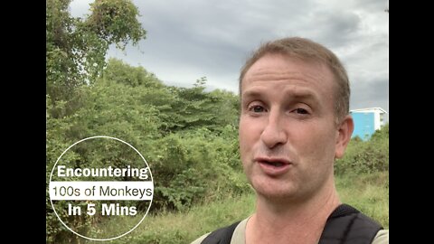 PART 1 - MONKEY MOUNTAIN EPIC HIKE TO THE TOP! 400 HUNGRY JUNGLE MONKEYS