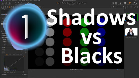 Quicktorial - Difference between the Shadow and the Black slider in Capture one Pro 21