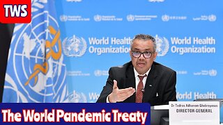 The World Pandemic Treaty