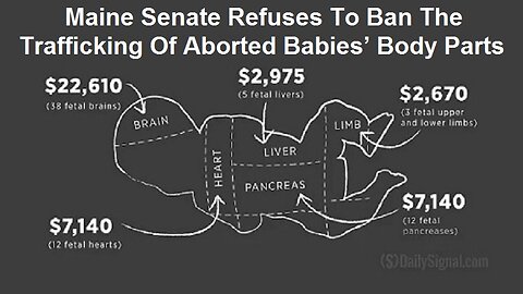 Maine Senate Refuses To Ban The Trafficking Of Aborted Babies’ Body Parts by The David Knight Show