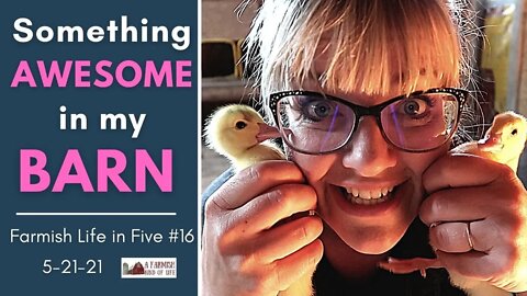 Something Awesome in my Barn | Farmish Life in Five #16 | 5-21-21