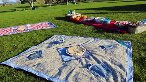 How to Sew a Picnic Blanket
