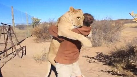 Animals Reunited With Their Owners After Years! || Very Emotional video