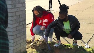 Western High School celebrates anniversary by making the campus greener