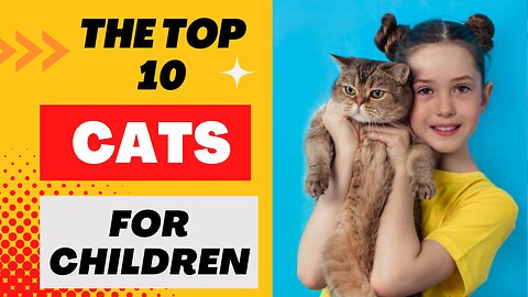 The Top 10 Cats for Children