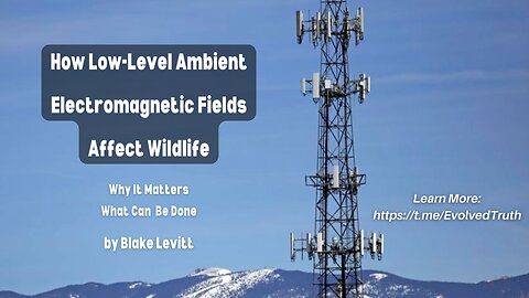 How Low-Level Ambient Electromagnetic Fields Affect Wildlife by Blake Levitt