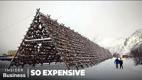 Why Stockfish Is So Expensive | So Expensive Food | Insider Business