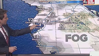 Dense Fog Advisory in effect until 9am on Tuesday