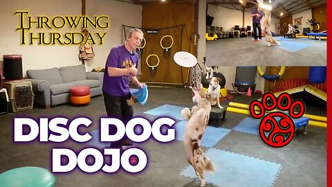 🐶🥏Get Ready for an Epic Throwdown Thursday at DiscDog Dojo #77 - Catch the Pawsitive Vybe! 🥋🐾