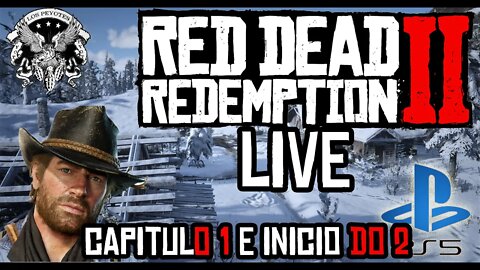 PS5 RED DEAD REDEMPTION 2 HISTÓRIA