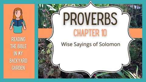Proverbs Chapter 10 | NRSV Bible