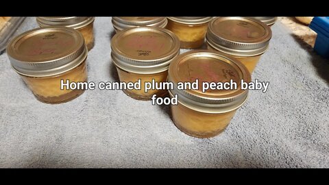 Home canned plum and peach baby food #babyfood #baby