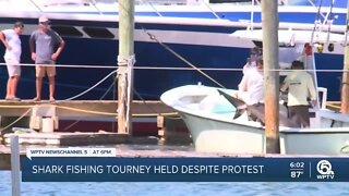 Shark fishing tournament held despite protest