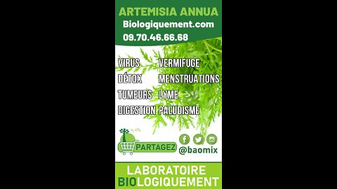 L'Artemisia annua bio du laboratoire Biologiquement.com