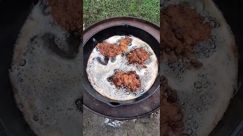 #wild #hog #cooking #rocket #stove #Louisiana #Life