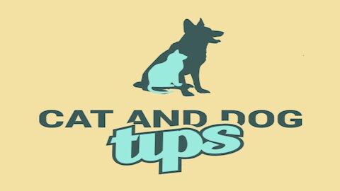 A Little Known Tip That May Aid Dog Training