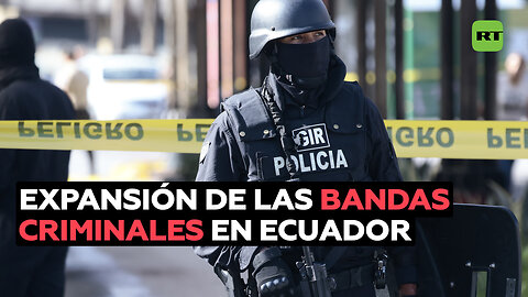 Expansión de las bandas criminales en Ecuador: poder ilícito y vínculos con cárteles mexicanos