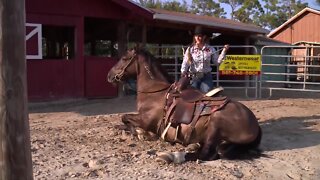 Palm Beach County woman places second in national mustang competition