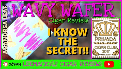 Privada Cigar Club Wavy Wafer | AGANORSA | #leemack912 (S07 E91)