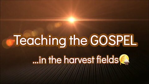 Nuggets of Truth I learned in the Harvest Field