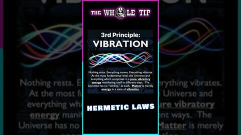 HERMETIC LAWS III VIBRATION - the Whole Tip Daily #shorts