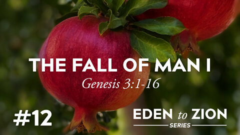 #12 The Fall of Man I - Eden to Zion Series