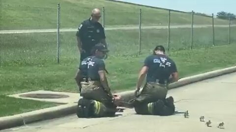 Duckling Rescue By Tulsa Fire Department