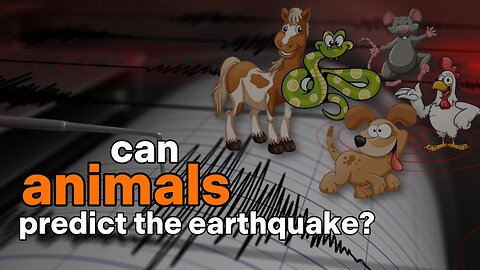 Can Animals Predict the Earthquake?