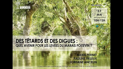 Des têtards et des digues. Quel avenir pour les levées du Marais poitevin ?