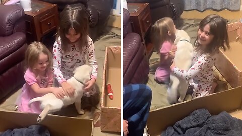 Little Girls Get Adorable Surprise Puppy For Christmas