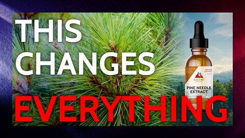 The Amazing Healing Power of Pine Needles, REDISCOVERED | Lance Schuttler of Ascent Nutrition