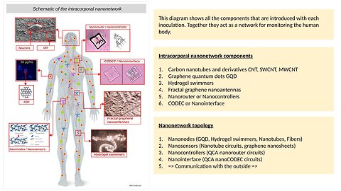 Intra-body nano-network - Full Presentation - English