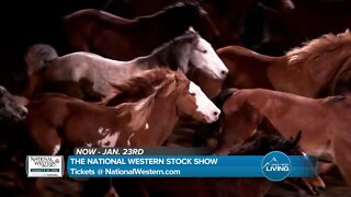 See Now - Jan 23 // National Western Stock Show