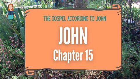 John Chapter 15 | NRSV Bible