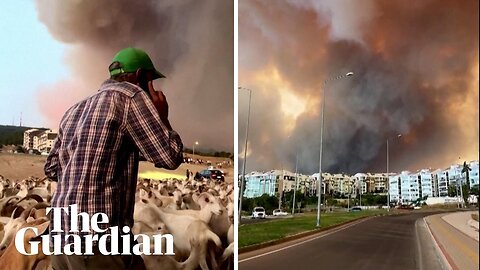USA Leave everything, let it burn': goat herder urges as wildfire flares in Turkey's Canakkale