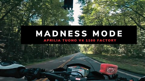 Riding to another dimension Aprilia Tuono v4 1100 factory.