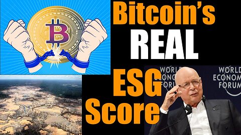 Bitcoin's ESG Score -- Fact or Fiction?