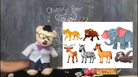 Learn about Mammals with Chumsky Bear | Animals | Kinder Surprise Open | Educational Videos for Kids