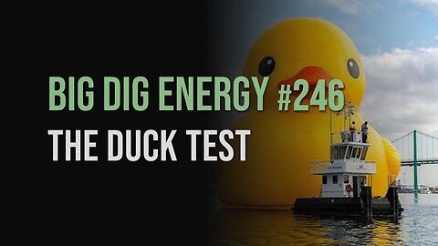 Big Dig Energy 246: The Duck Test