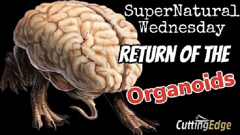 SuperNatural Wednesday: Return of the Organoids