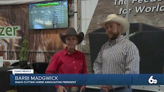 ICHA hosts 2021 Futurity show