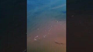 Drone flying over Sand Bars