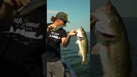 99% of Anglers AREN’T Doing This to Catch Late-Summer Bass! (Secrets Exposed)