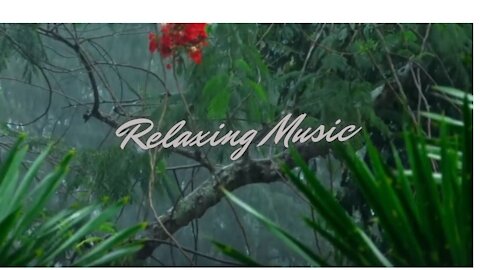 Relaxing Music - Relaxing with Rain Sound | Sleep and Relax, Work and Study.