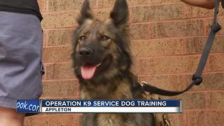 Operation K9 service dog training