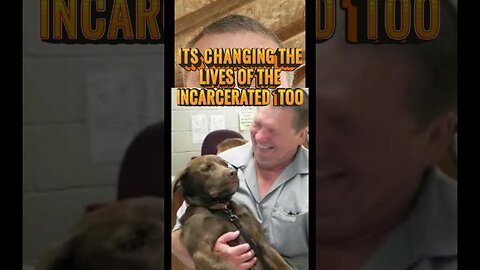 Puppies For Parole Prison Program #short #dog #prison