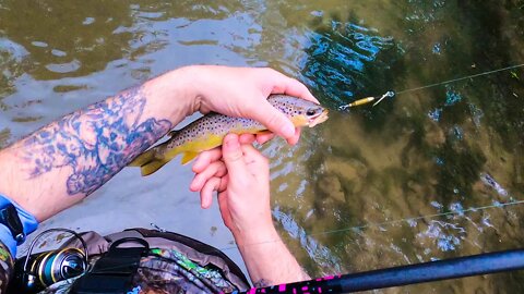 Catching Brown Trout in a Rainstorm with Spinners