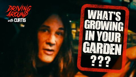 What's Growing in Your Garden