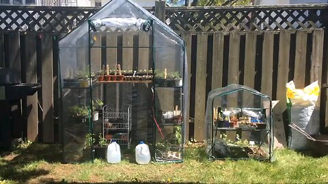 Wild Urban Gardens 2021 - Creating Temporary Greenhouses for Urban Gardening on a Tight Budget