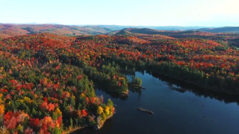 Peak Fall Foliage in New England